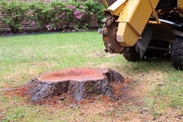 How short does a stump need to be ground to?