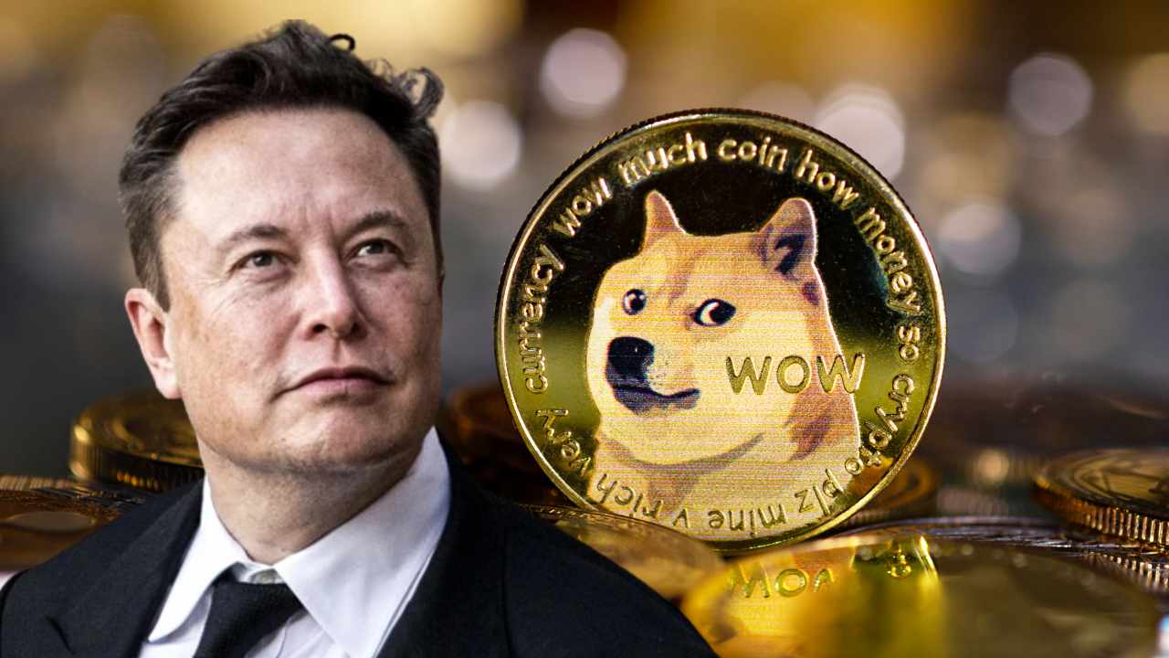 Elon Musk Debate: What's Going on With Dogecoin?