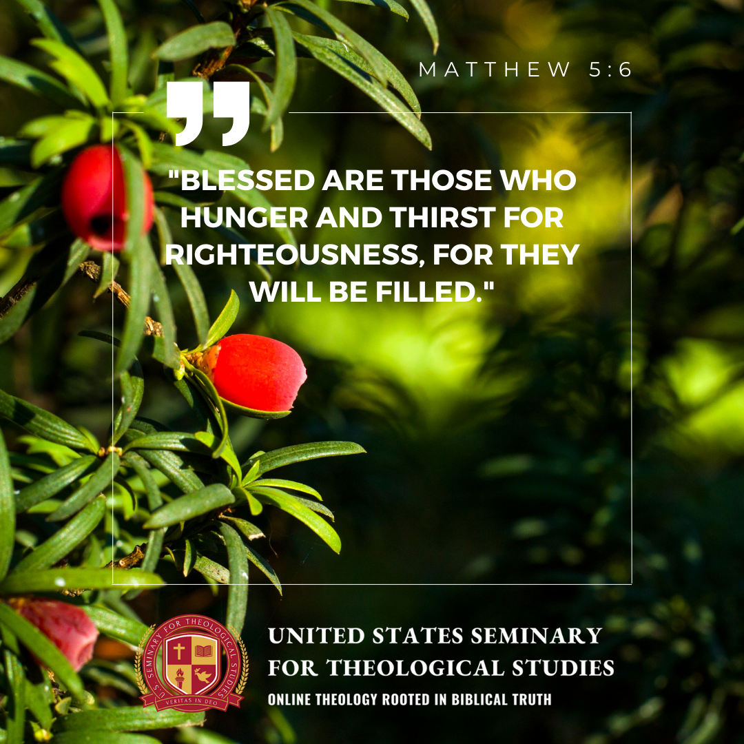 the-pursuit-of-righteousness-a-reflection-on-matthew-5-6-u-s