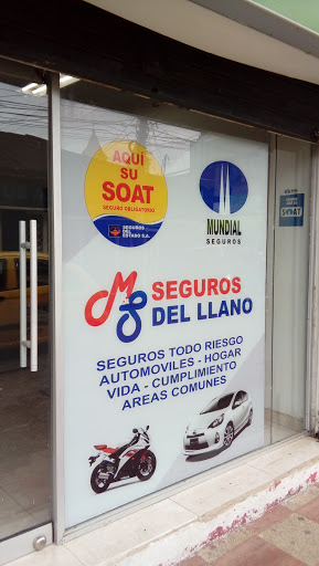 M & S Seguros del Llano