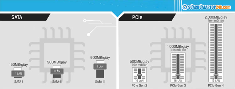 Chuẩn SATA III giới hạn tốc độ truyền dữ liệu là 600 MB/s