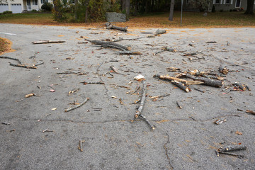 broken branch scattered in the road, spanning the entire width of it, road hazard debris in florida