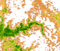 MODIS NDVI April 23rd, 2019