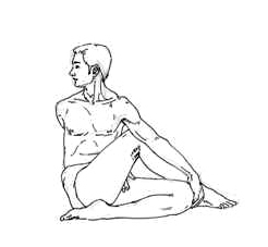 This image has an empty alt attribute; its file name is ardha-matsyendrasana.jpg