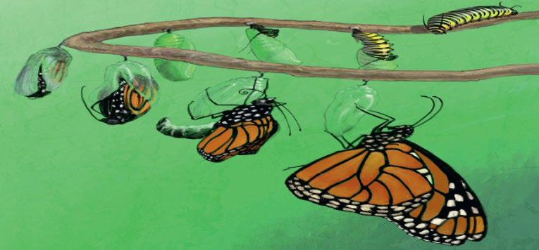 Metamorphosis image by Matt Ottley
Reproduced with permission of The School Magazine, Orbit, Issue 10, 2019