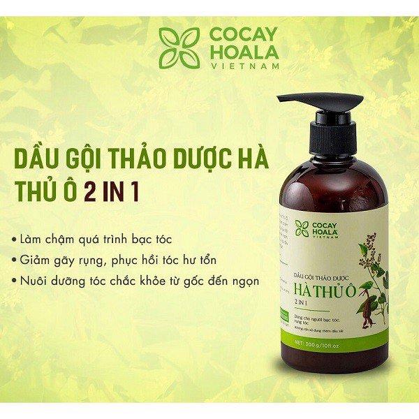 Dầu gội thảo dược hà thủ ô khắc phục tình trạng tóc bạc sớm hiệu quả tại nhà