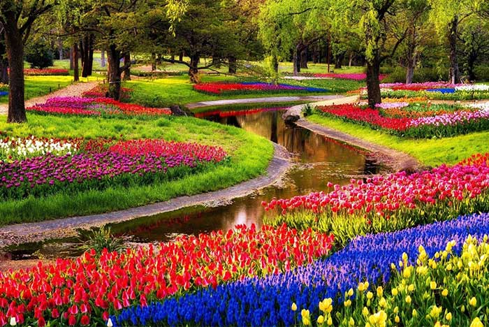 พาไปชม สวนดอกไม้และทุ่งดอกไม้ สุดแสนงดงามอลังการจากทั่วทุกมุมโลก13