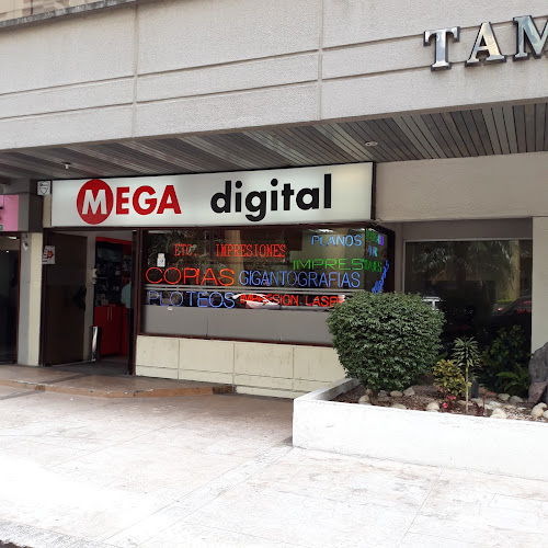 Mega Digital