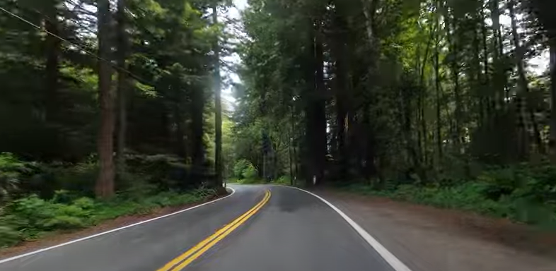 Top 7 Scariest Mountain Roads in California (with pics)