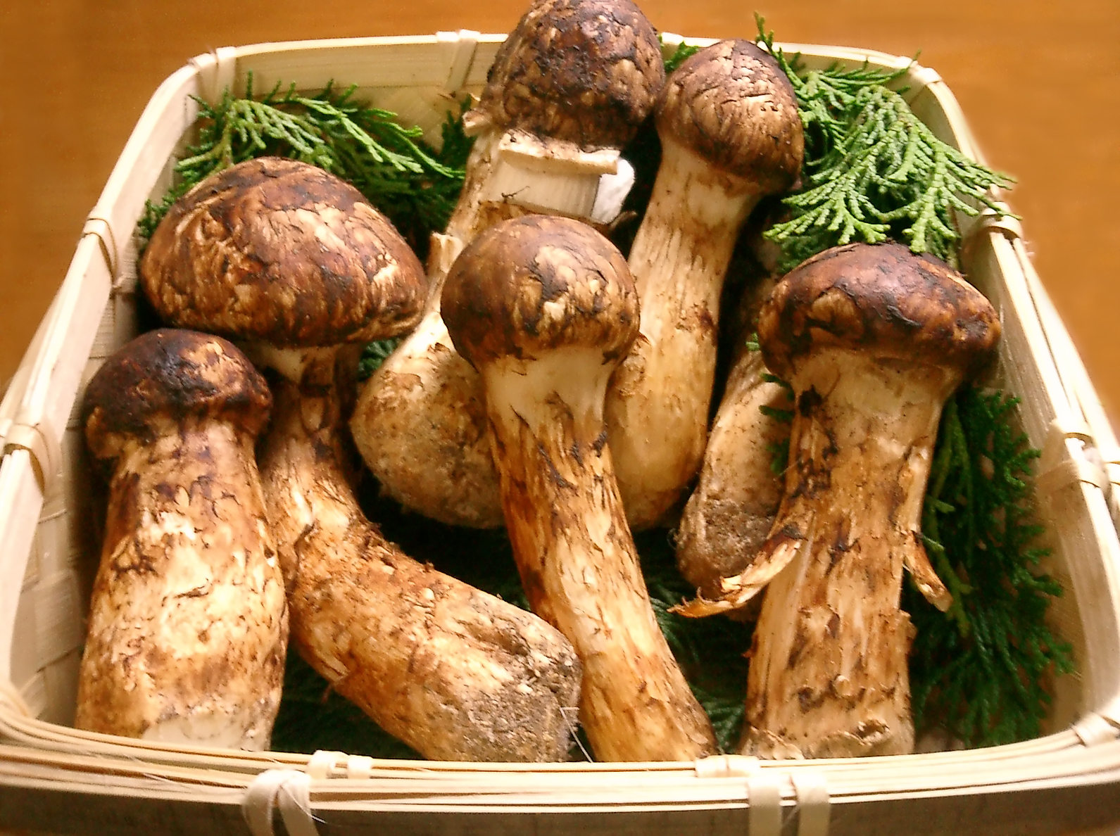 四角いかごに複数のマツタケが入っている画像です。