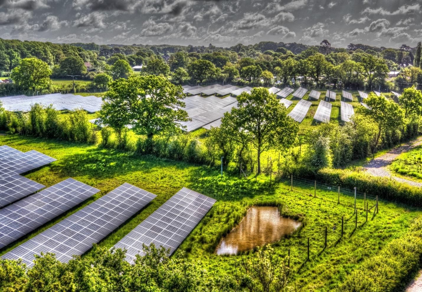 D:\170214 _iDEAtedlab_EcoWowLife\01 iDEAtedlab_EcoWowLife\02 Article_ideatedLab_EcoWowLife\01 Article_EcoWowLife_AM\210310 AM_09_Disadvantages of Living Near a Solar Farm\NESF_Solar_Farm_2019_-_NESF.jpg