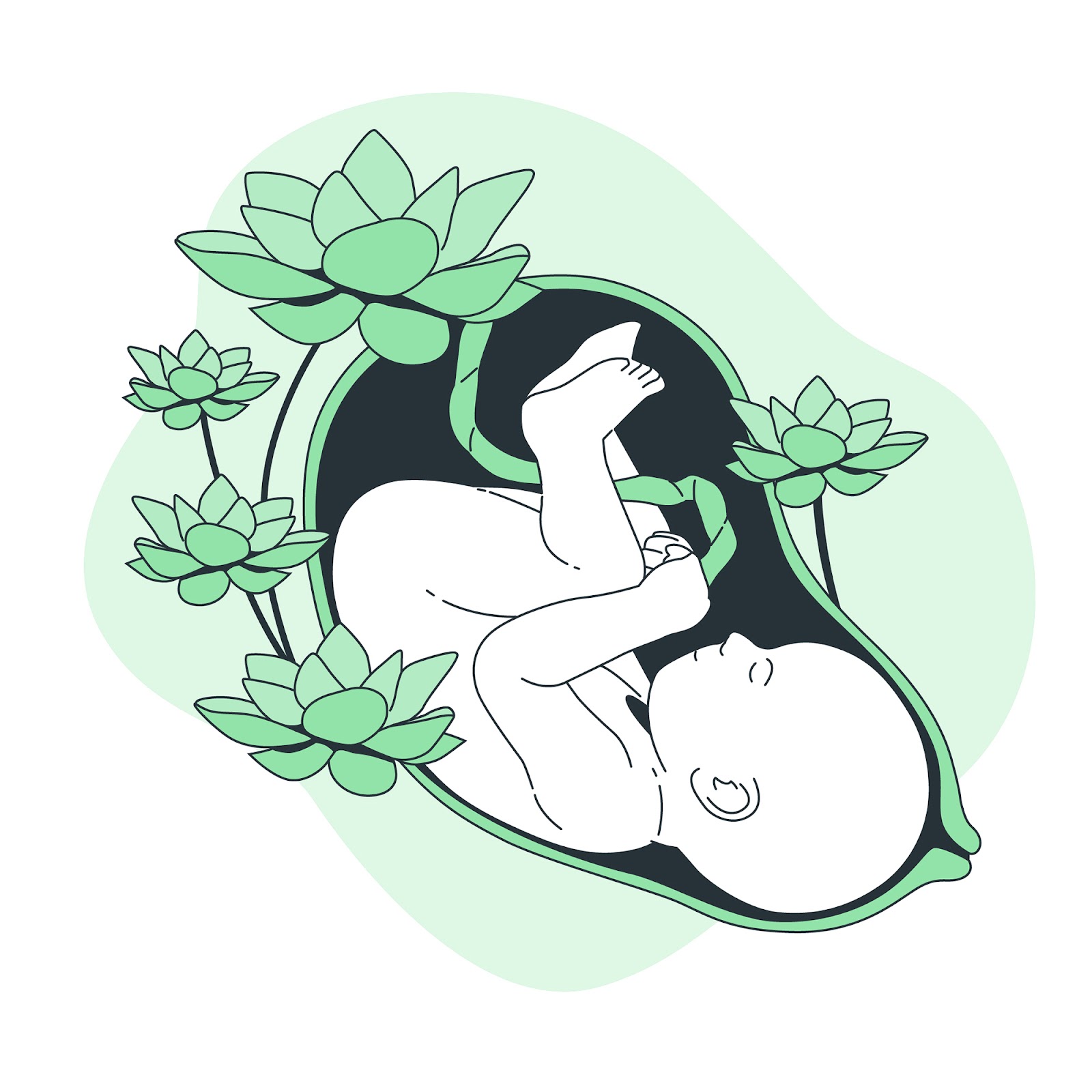 bébé en croissance - fœtus enrobé de fleur 