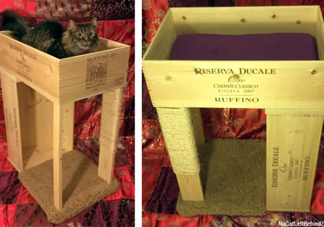 casinha para gatos com pallet