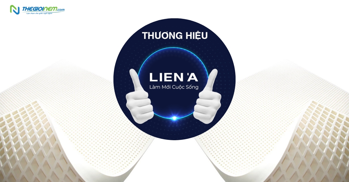 Địa chỉ cửa hàng bán nệm cao su Liên Á tại quận Tân Phú - Thegioinem.com