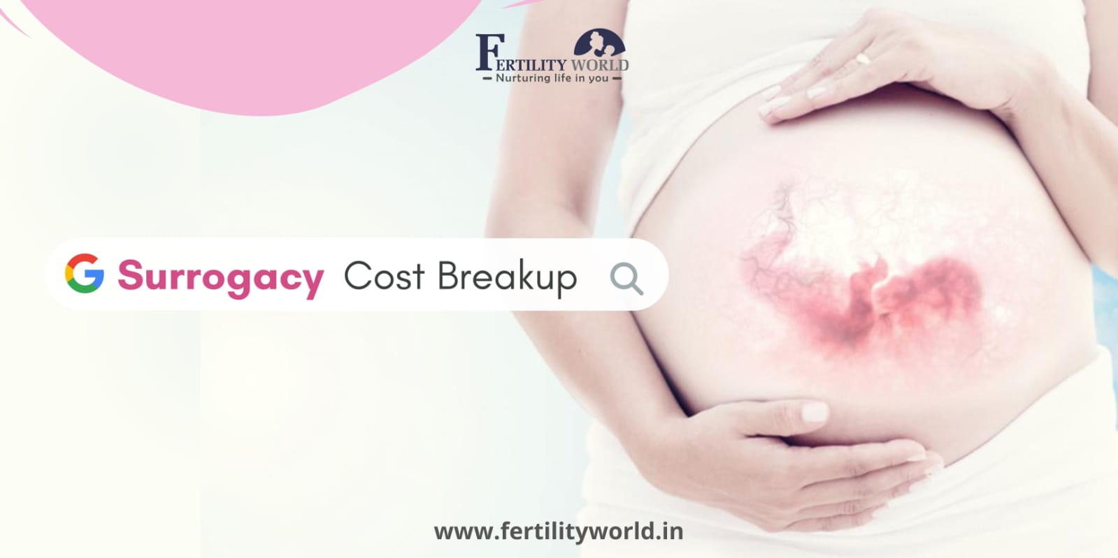 Why is surrogacy cost higher?