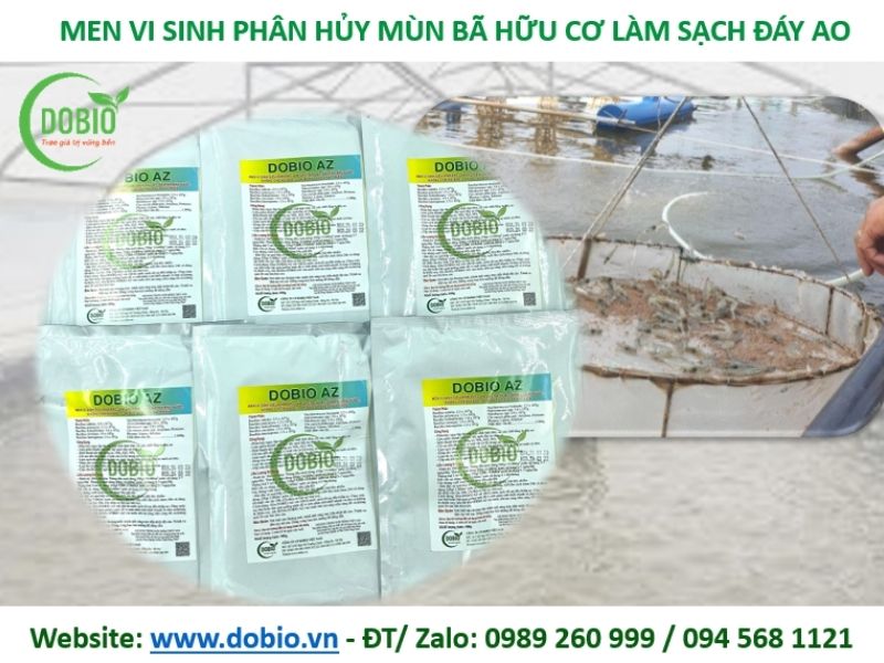 Sản phẩm men vi sinh phân hủy bùn hiệu quả tại Dobio