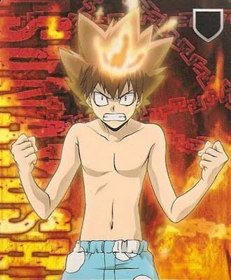 Tsuna, llama de la última voluntad