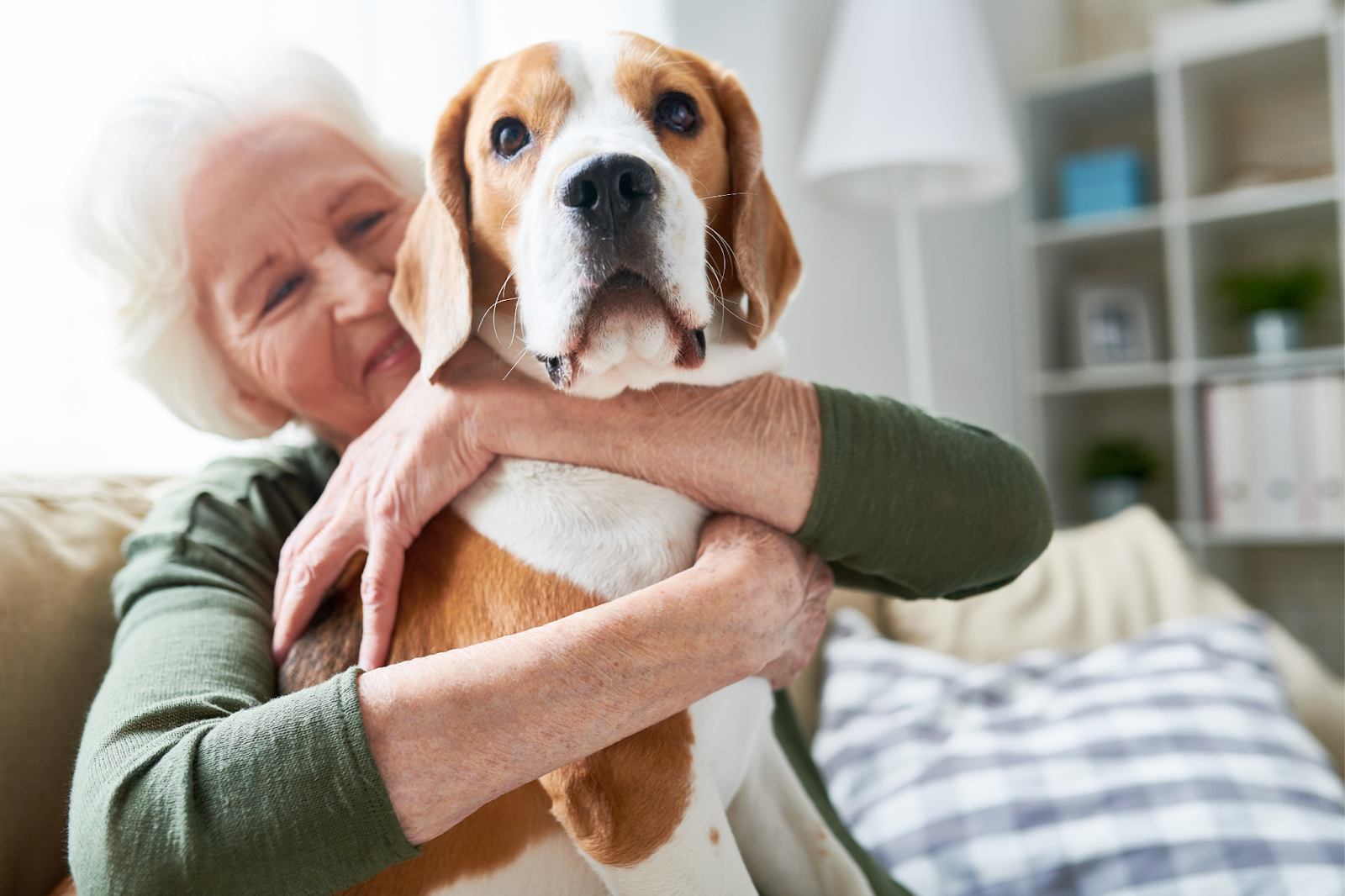 pet adoption for seniors 