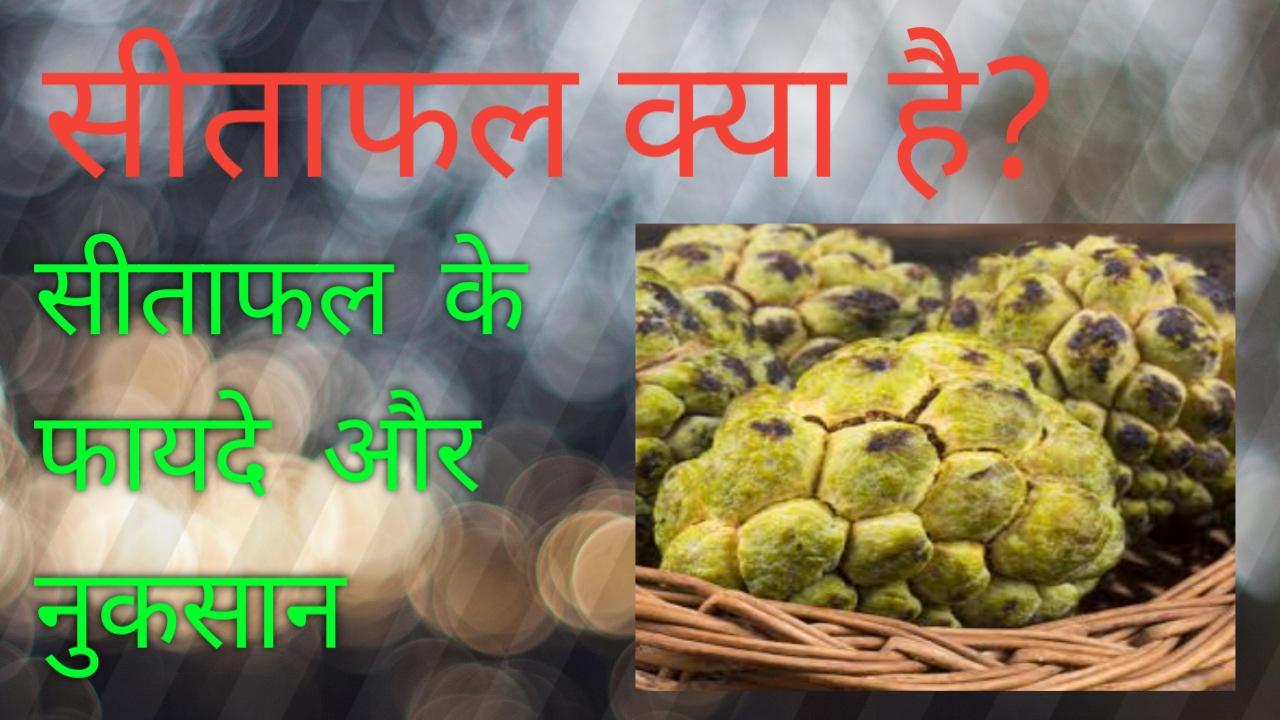 Custard apple benefits - सीताफल शरीर की गर्मी निकाल देगी | Sitaphal benefits in hindi