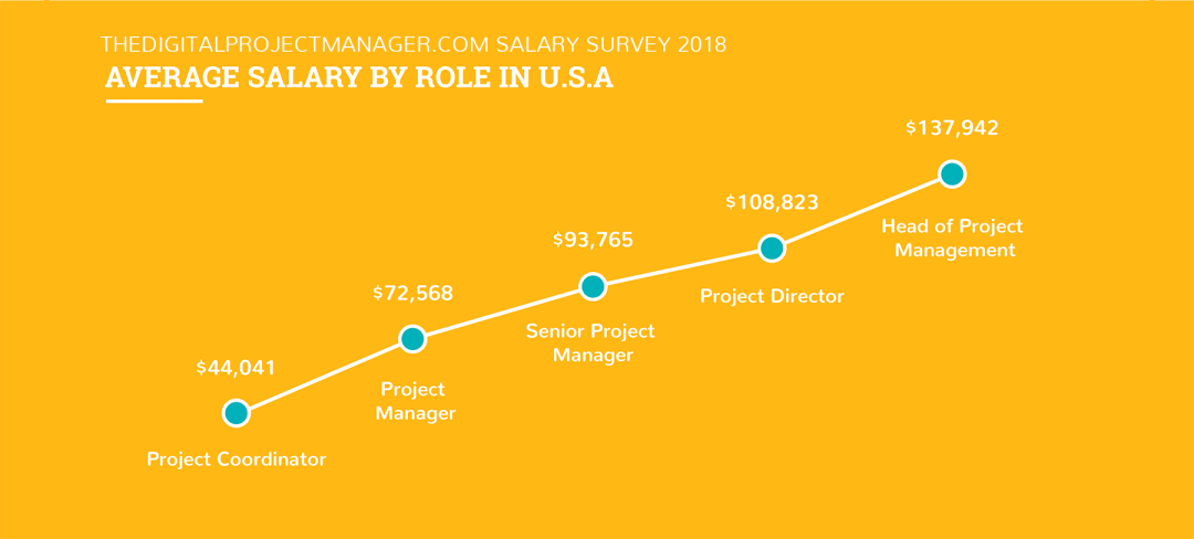 What Is A Digital Project Manager And How To Become One