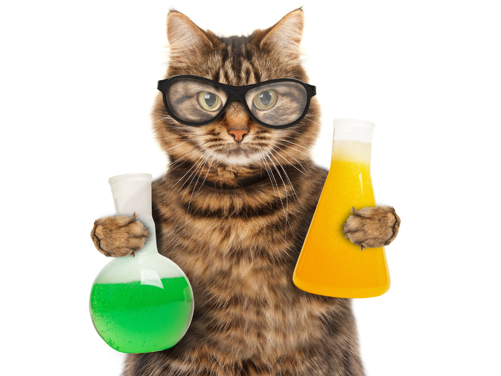 Funny chemistry cat