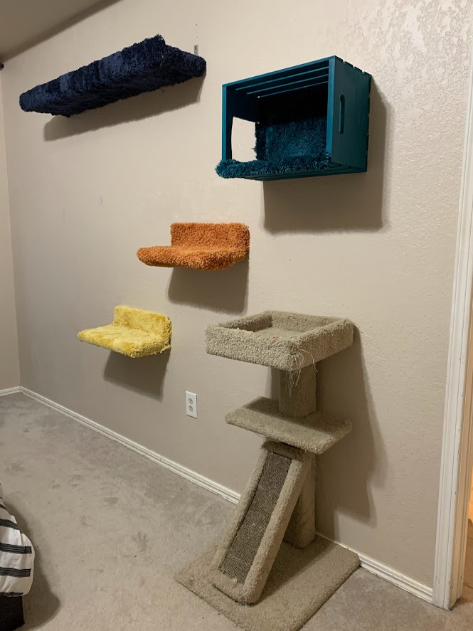 Finished DIY cat wall with four shelves and cat tower