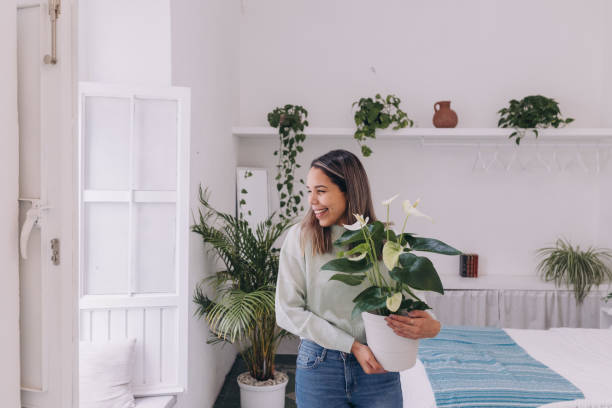 Decorating with indoor plants