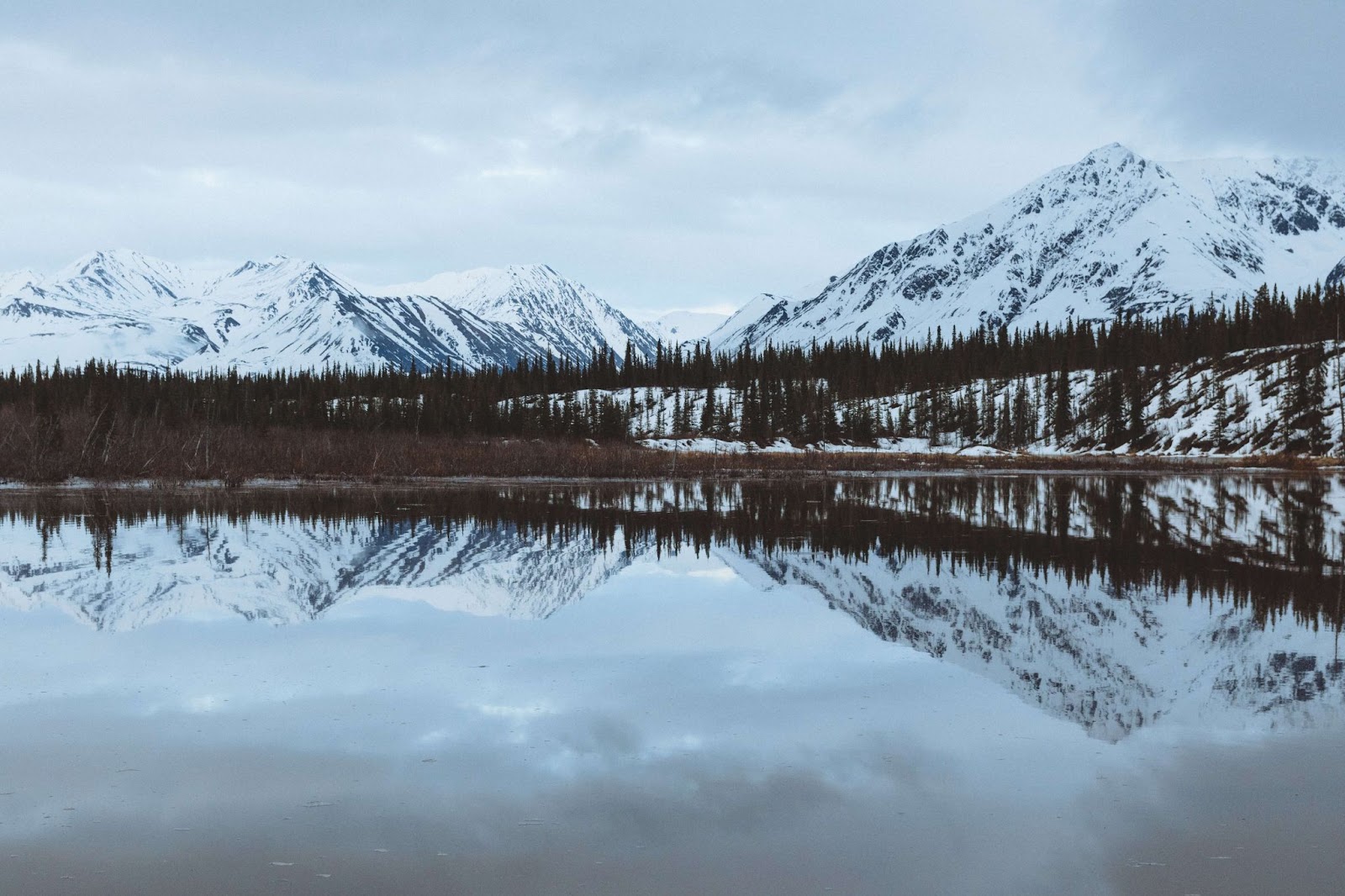 Denali State Park, Alaska