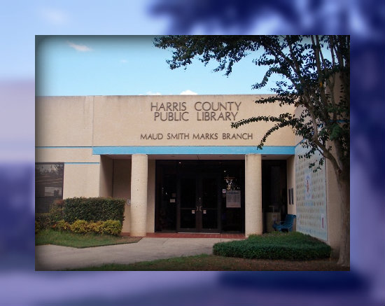 Holiday Food Drive at Maud Marks Library in Katy