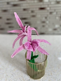 orchid in vase on kitchen counter