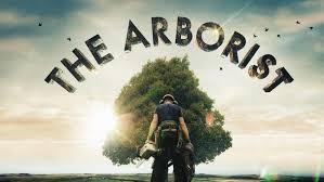 Image result for arborists
