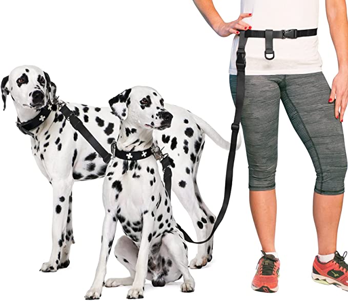 The Buddy System Hands Free Dog Leash and The Double Buddy Pet Leash, Bundle Adjustable Dog Leash for Walking, Running, Training, Exercise with Your Dog-Made in The USA