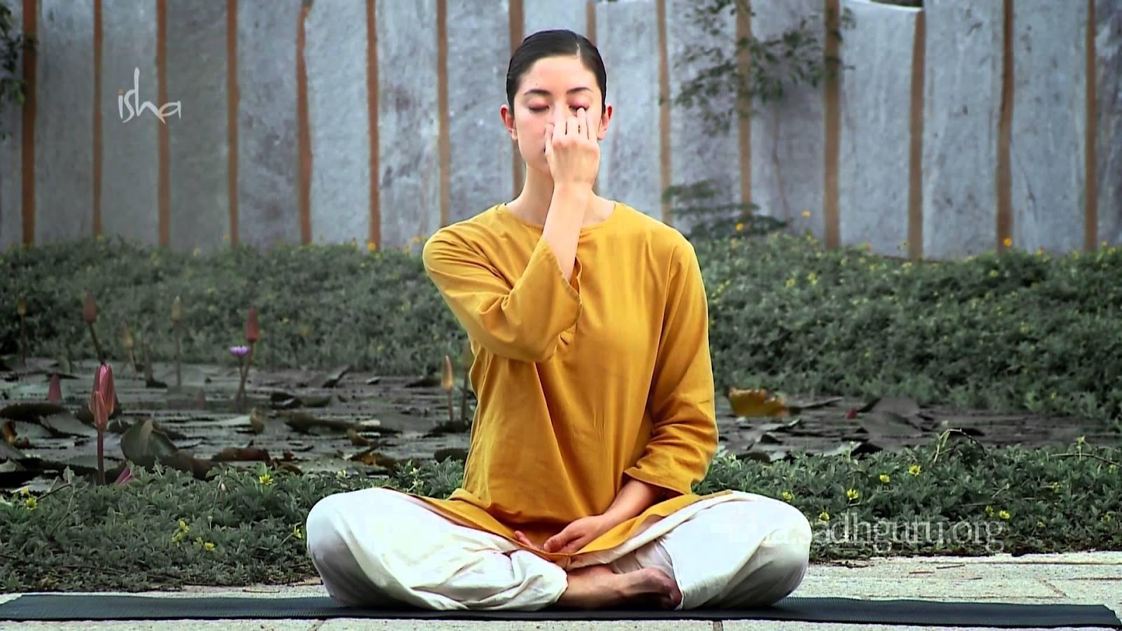 Медитация шодхана