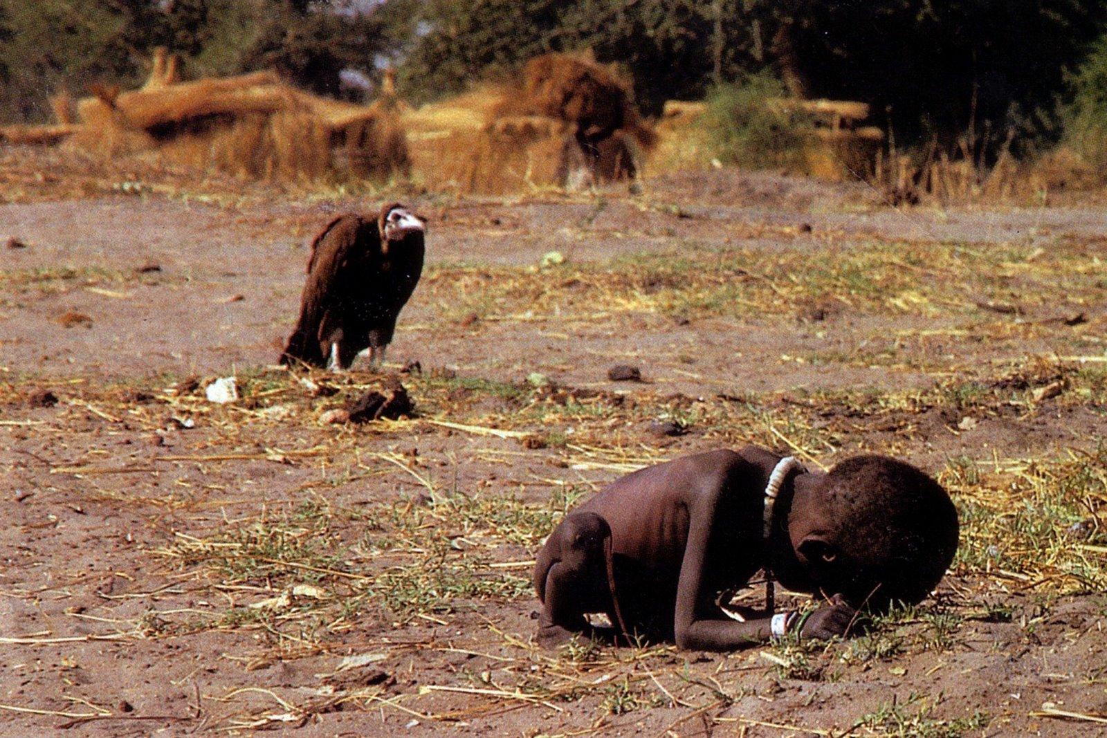 kevin-carter-vulture-145C30B07202291FF0A.jpg