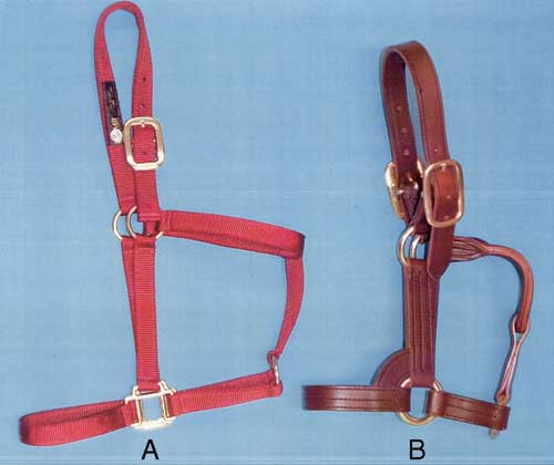 Photograph of two halters.