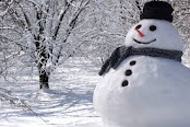It's World Snowman Day! (How many more will there be?) - Sustrana