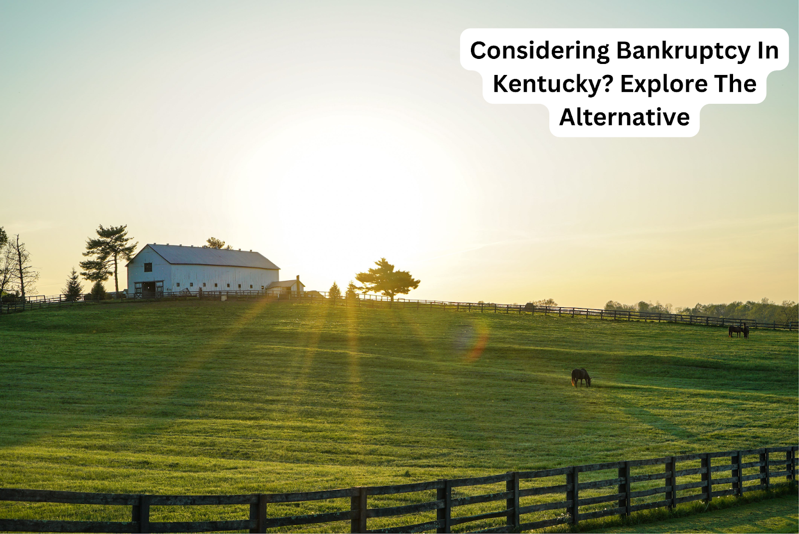 Considering Bankruptcy In Kentucky? Explore The Alternative
