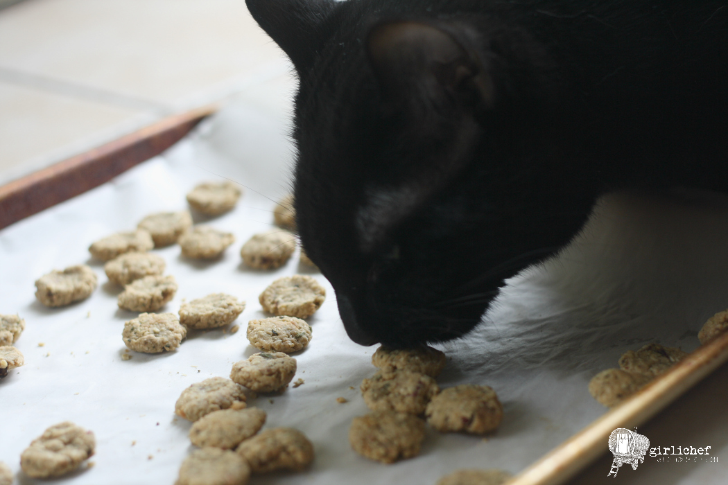 Chicken and Cranberry Cat Treats from All Roads Lead to the Kitchen