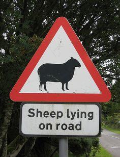 Image result for FUNNY ROAD SIGNS IN IRELAND