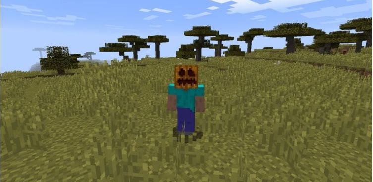 10 Minecraft Hacks- Wear Pumpkin