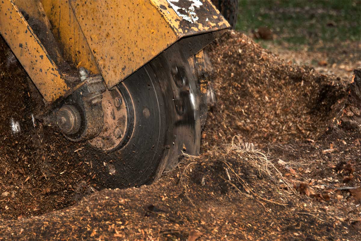 The Different Types of Stump Grinders and How to Use Each Type