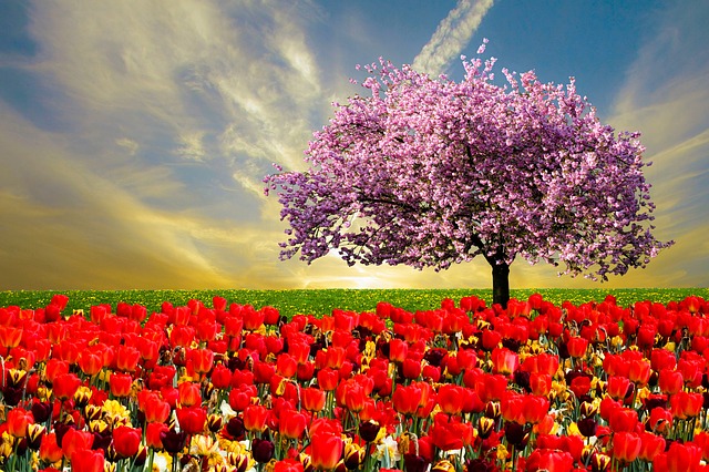 trees name in hindi