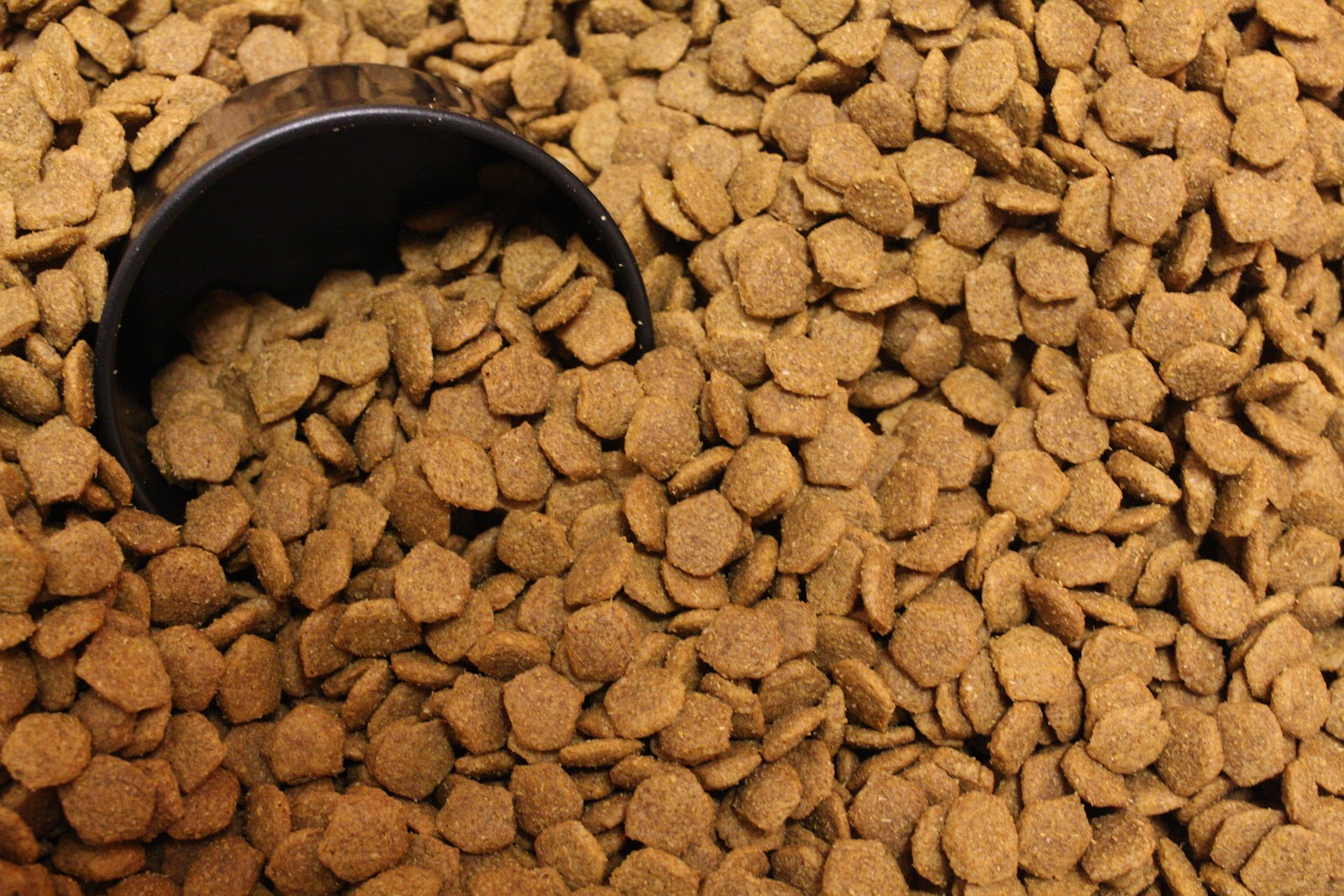 File:Dog food 203365.jpg