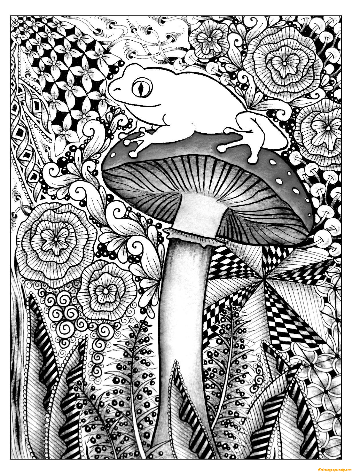 Frog And Mushroom Coloring Pages