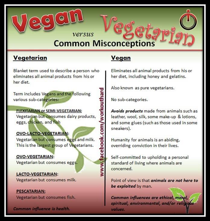 vegan_versus_vegetarian