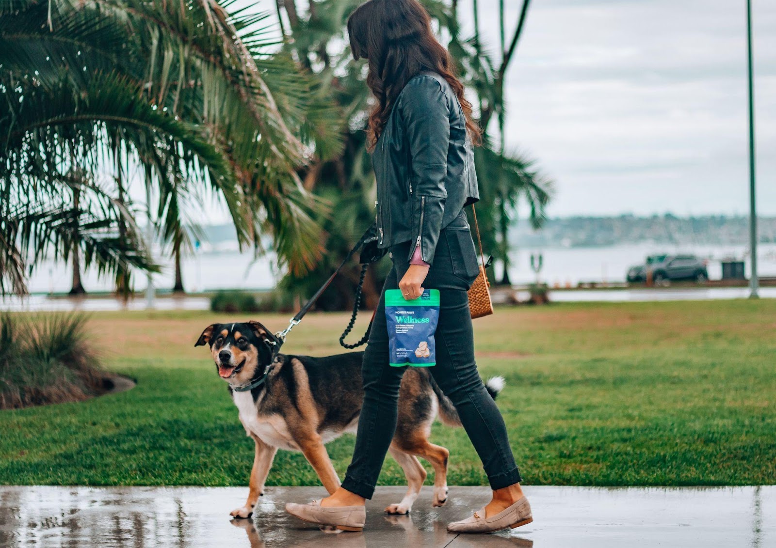 Woman dog walker in denim jacket walking a high-energy dog