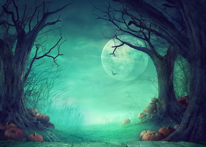 10 Freakiest Horror Movie Forests