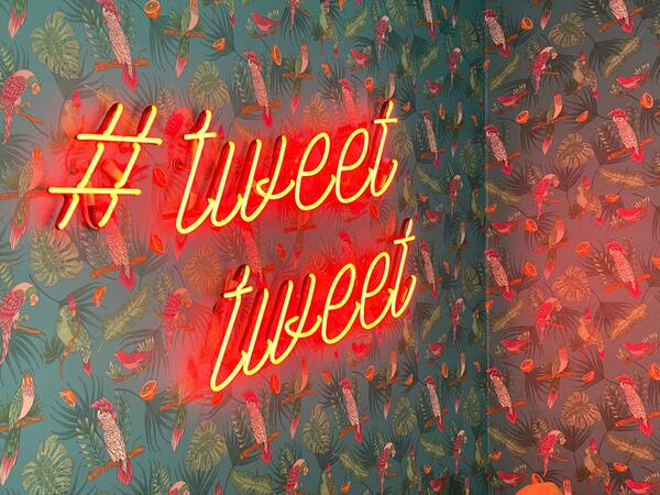 Foto de uma parede com um papel de parede de tema tropical com palavras da cor neon escrito "#tweet tweet"