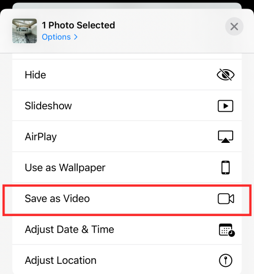 save as video option