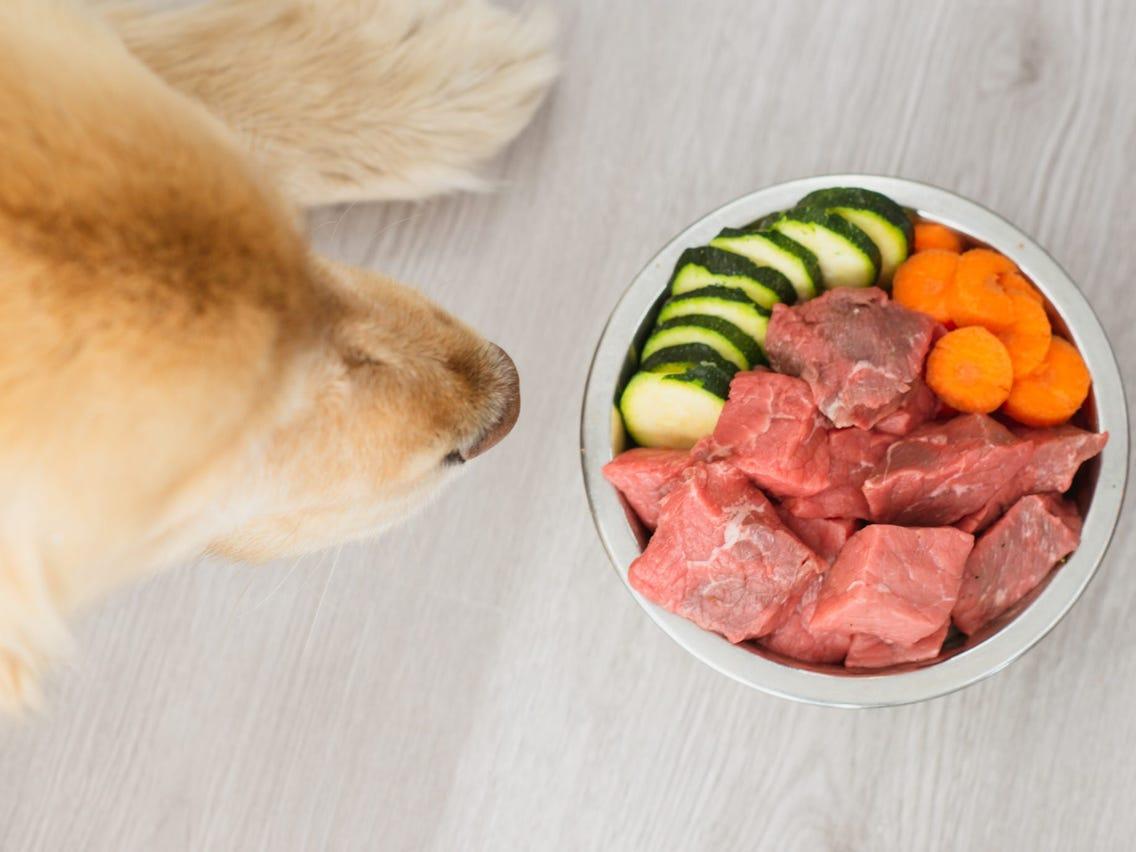 The Harmful Effects of Feeding Your Dog a Raw Food Diet